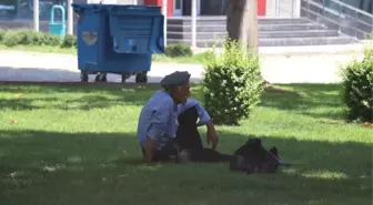 Aşırı Sıcaklardan Etkilenen Vatandaşlar Parklara Sığındı