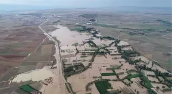 Evler Su Altında Kaldı, Hayvanlar Telef Oldu