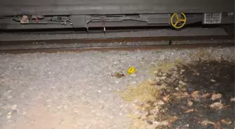 Raylarda Alkol Aldı, Tren Çarptı