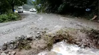 Ordu'da Sağanak Yağış Zarara Yol Açtı