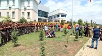 Bingöl'de Şehitler İçin Kurban Kesildi