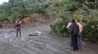 İki Kişinin Öldürüldüğü Cinayet Davasının Yargılaması Başladı