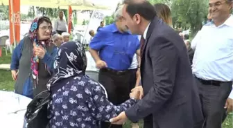 Sakaryabaşı'nda Yaşlılarla Piknik