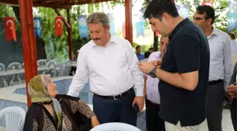 Talas'ın Çınarları Akçakaya Mahallesinde