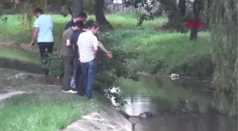 Yalova'da Derede Erkek Cesedi Bulundu