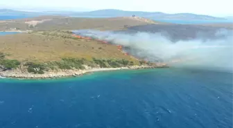 Ayvalık Maden Adasında Orman Yangını