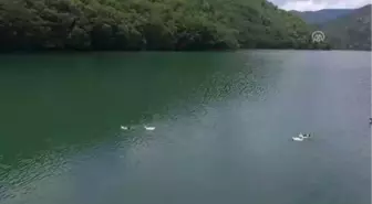 Orta Karadeniz'in 'Uzungöl'Ü İlgi Görüyor