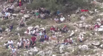 Antalya Kumluca'da Boğa Güreşleri Yapıldı