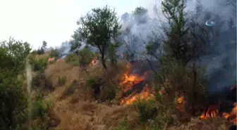 Hizan'da Çıkan Orman Yangınında 3 Bin Dönüm Orman Kül Oldu