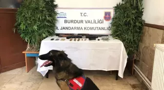 Burdur'da Jandarmadan Dedektör Köpekli Uyuşturucu Operasyonu