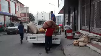 Ordu'da Üreticiler Fındık Satışına Başladı