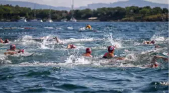 Uluslararası Arena Aquamasters Yüzme Şampiyonası İstanbul ile Buluştu…