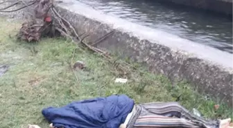 Kayıp Kadının Cesedi Bulundu
