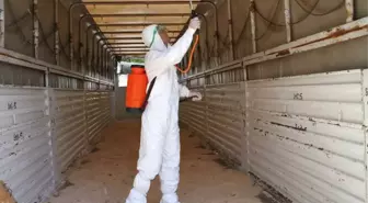 Kurbanlıklar Veteriner Kontrolüyle Batıya Sevk Ediliyor
