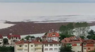 Ordu'daki Sel Felaketinin Ardından Denizde Fındık Adacığı Oluştu