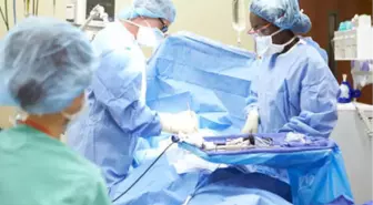 Organlar Toprak Altında Çürüyecek Bizim Gibilere Yardımcı Olun'