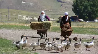 Kırsalda Tezek Geleneği