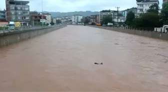 Sel Bu Kez Ünye'yi Vurdu