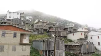 Varda Yaylası'nda Kaçak Yapılaşmanın Önüne Geçiliyor