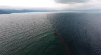 Karadeniz Adeta İkiye Bölündü