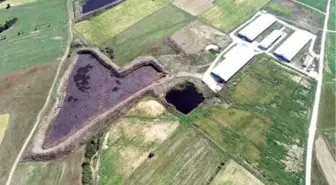 Kırklareli'nde Gübre Biriktirme Havuzlarındaki Atıklar, Derelere Karıştı