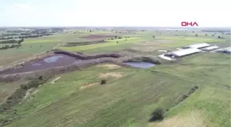 Kırklareli'nde Hayvan Atıkları Derelere Karıştı