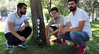 Sokak Hayvanlarına 'Ahbap' Projesi