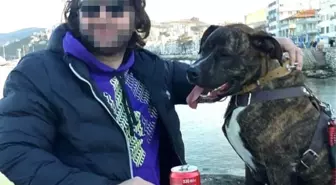 Köpek Yüzünden İki Kişiyi Böyle Öldürdü