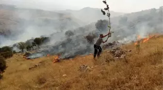 Piknikçilerden Kalma Küller Az Daha Beldeyi Yakıyordu