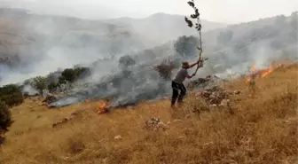 Piknikçilerden Kalma Küller Az Daha Beldeyi Yakıyordu