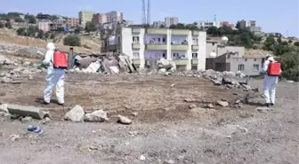 Şırnak Şehir Merkezinde İlaçlama Çalışmaları Devam Ediyor