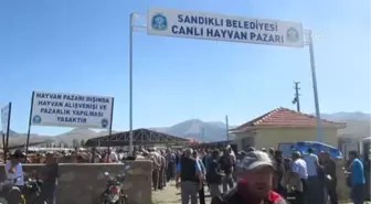 1 Tonluk Kurban 'Gladyatör' 15 Bin Liraya Satıldı