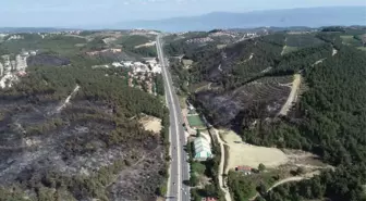 Bursa'daki Orman Yangını