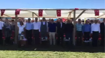 Kastamonu'da '3. Geleneksel At Yarışları' Düzenlendi