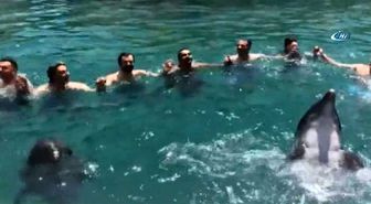 Yunuslar Vatandaşlarla Horon Tepti