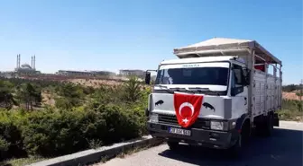 Doları Yok Diye Ekmek Teknesini Bağışlıyor