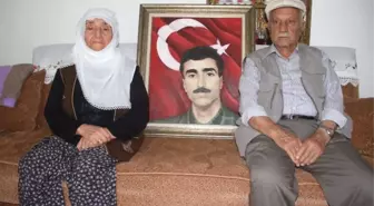 Öldürülen Kırmızı Listedeki Teröristin Şehit Ettiği Öğretmenin Ailesi Konuştu