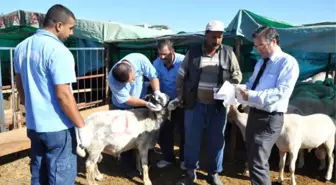 Yüreğir'de Kurban Kesim ve Satış Yerleri Belirlendi