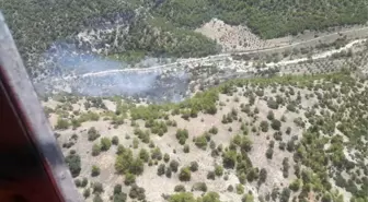 Denizli'de Çıkan Yangında Genç Fidanlar Yandı