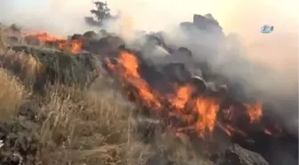 Hasan Dağı'nda Orman Yangını