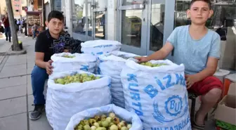 İhtiyaçlarını Yerli Elma Satışıyla Karşılıyorlar