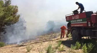 Manavgat'ta Orman Yangını