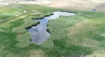 Yok Olma Tehlikesiyle Karşı Karşıya Olan Kaz Gölü Havadan Görüntülendi