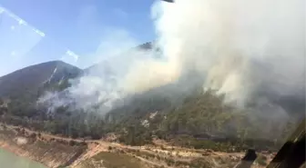 Alanya'da Orman Yangını