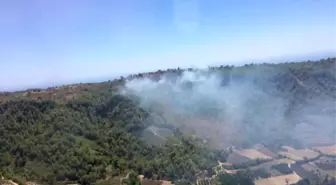 Alanya'daki Orman Yangını Kontrol Altına Alındı