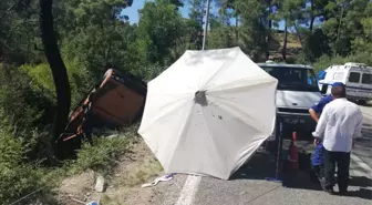 Antalya'da Safari Cipi Devrildi