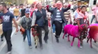 Mora Boyanan Koyunlarla Kortej Yürüyüşü