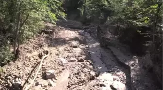 Ordu'daki Şiddetli Yağışın Ardından - Çaybaşı Belediye Başkanı Yanık