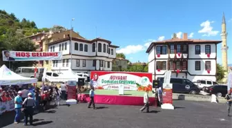 2. Boyabat Domatesi Festivali