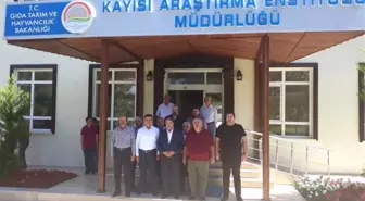 2019 'Dünya Kayısı Sempozyumu' Malatya'da Yapılacak